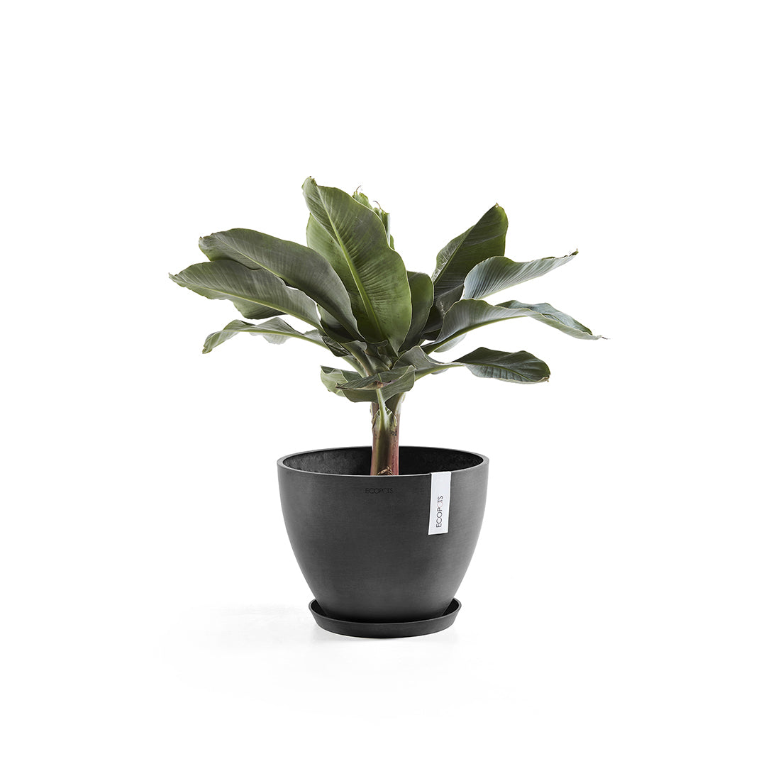 Ecopots Unterteller – Kunststoff, dunkelgrau – Ø 29 × 3 cm