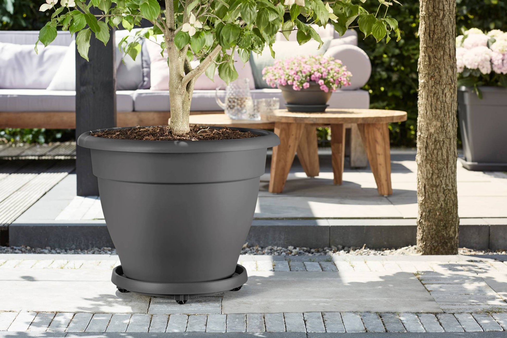 elho Universal Planttaxi 35 Untersetzer – Recycling-Kunststoff – Schwarz – Ø 350 × 65 mm – 4 Rollen