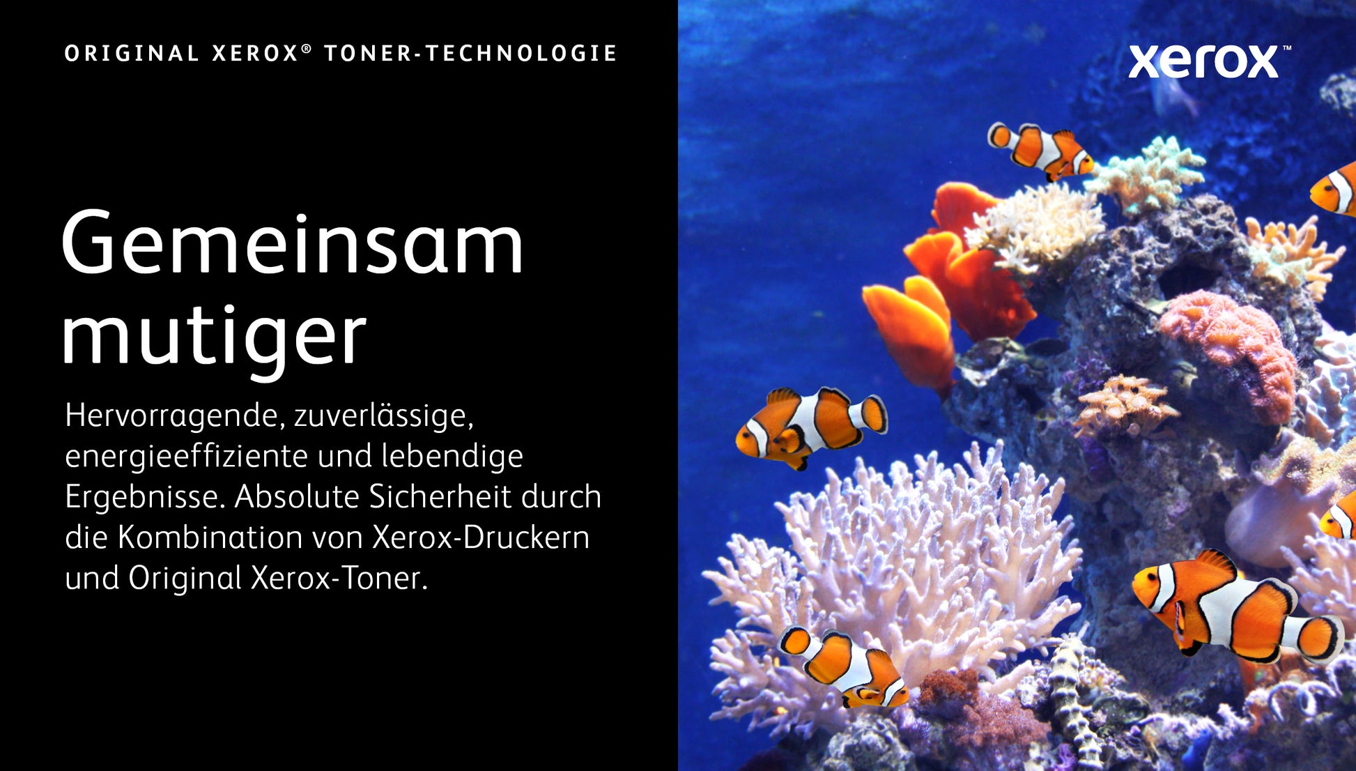 Xerox Toner C410 – für VersaLink C415