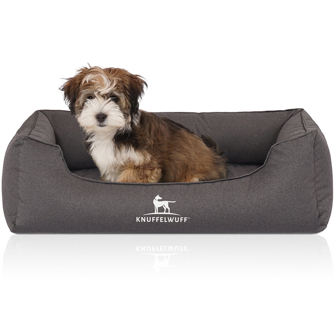 Knuffelwuff Hundebett (Kissen) – 63 × 85 cm, Velour-Bezug, Schaumstoff-Füllung, abnehmbarer Bezug, Anthrazit
