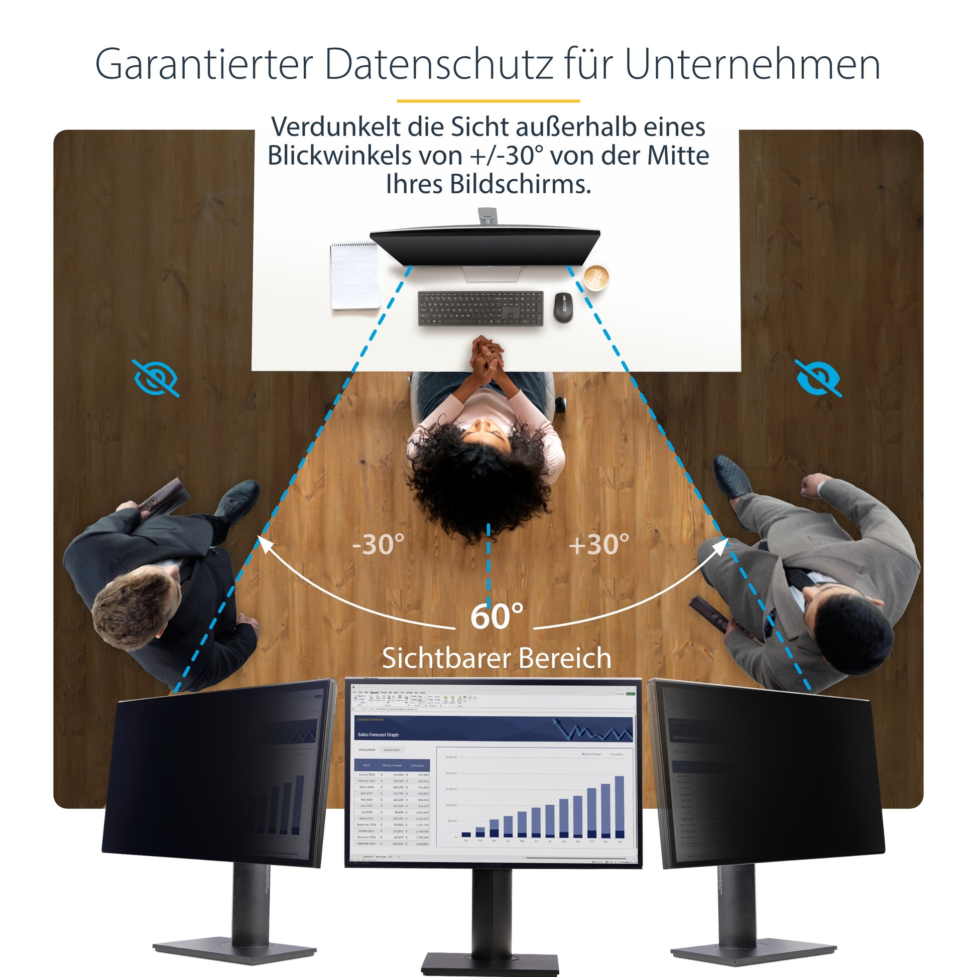StarTech.com Displayschutz für 24" Monitor
