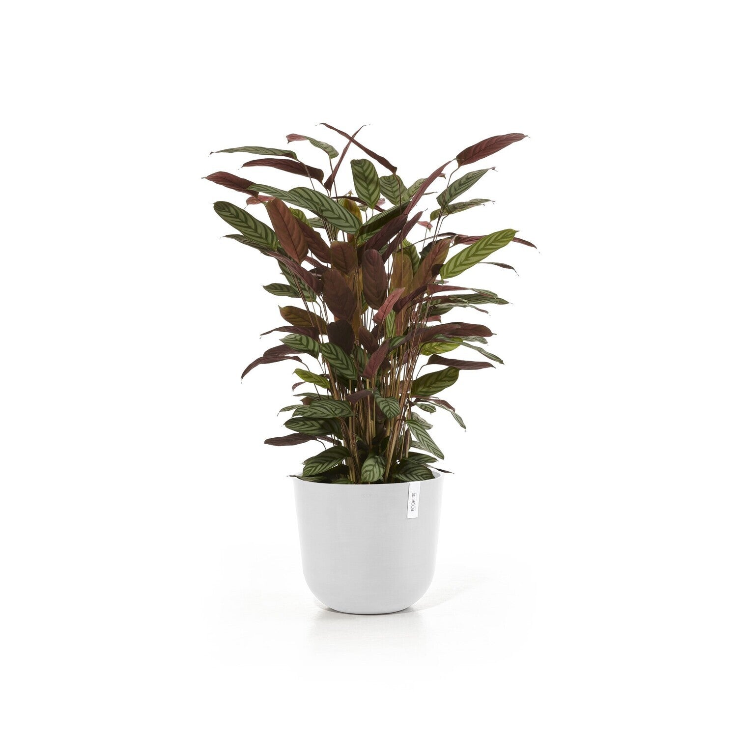 Ecopots Schale – Recycling-Kunststoff, Weiss – Ø 35 × 30,5 cm