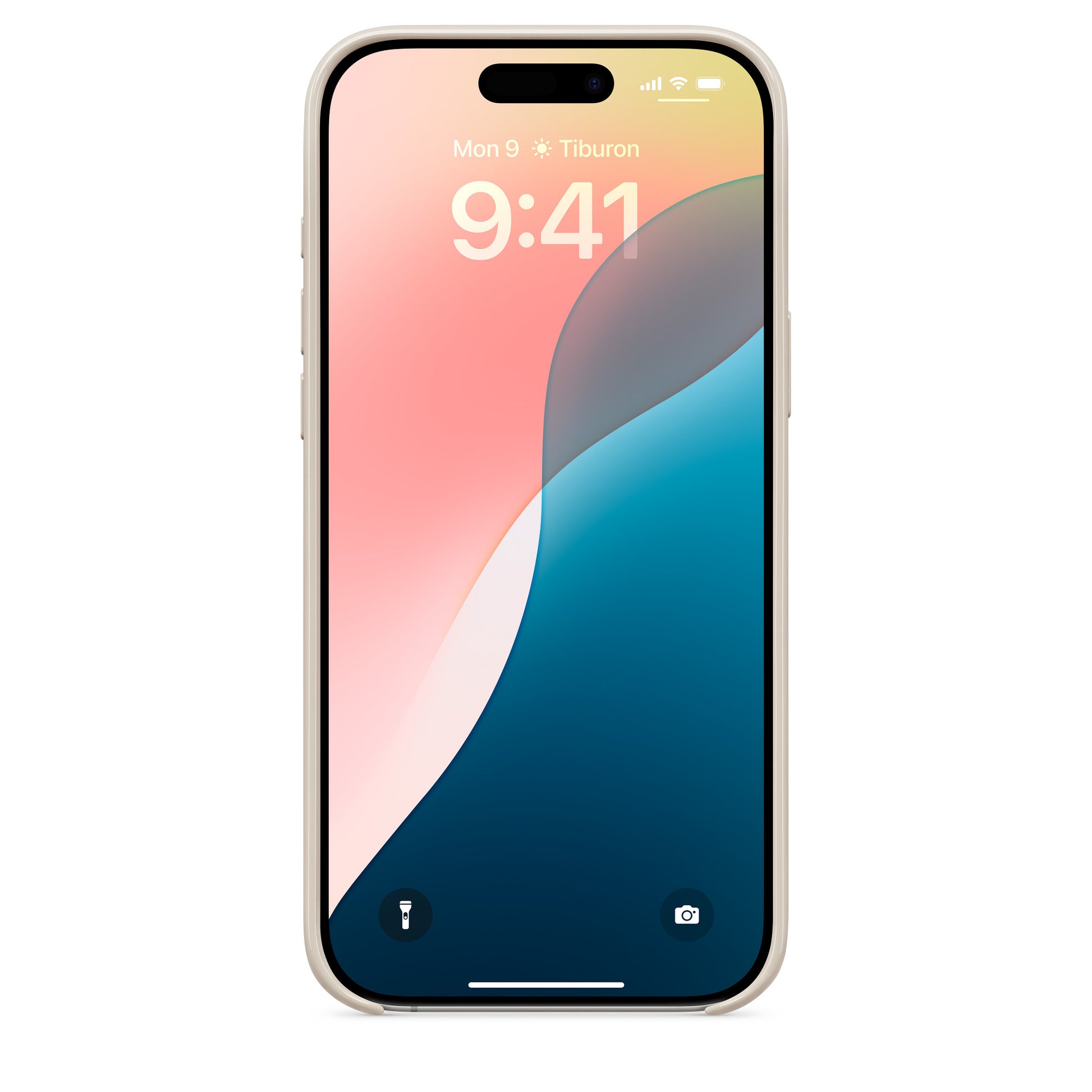 Apple Backcover – für iPhone 16 Pro Max – Summit Stone – PC – MagSafe-kompatibel