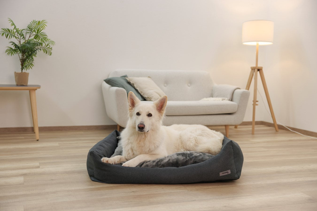 Kerbl Platin Ortho Hundebett – 75 × 110 × 27 cm, Schaumstoff, Polyester-Bezug, abnehmbarer Bezug, Grau