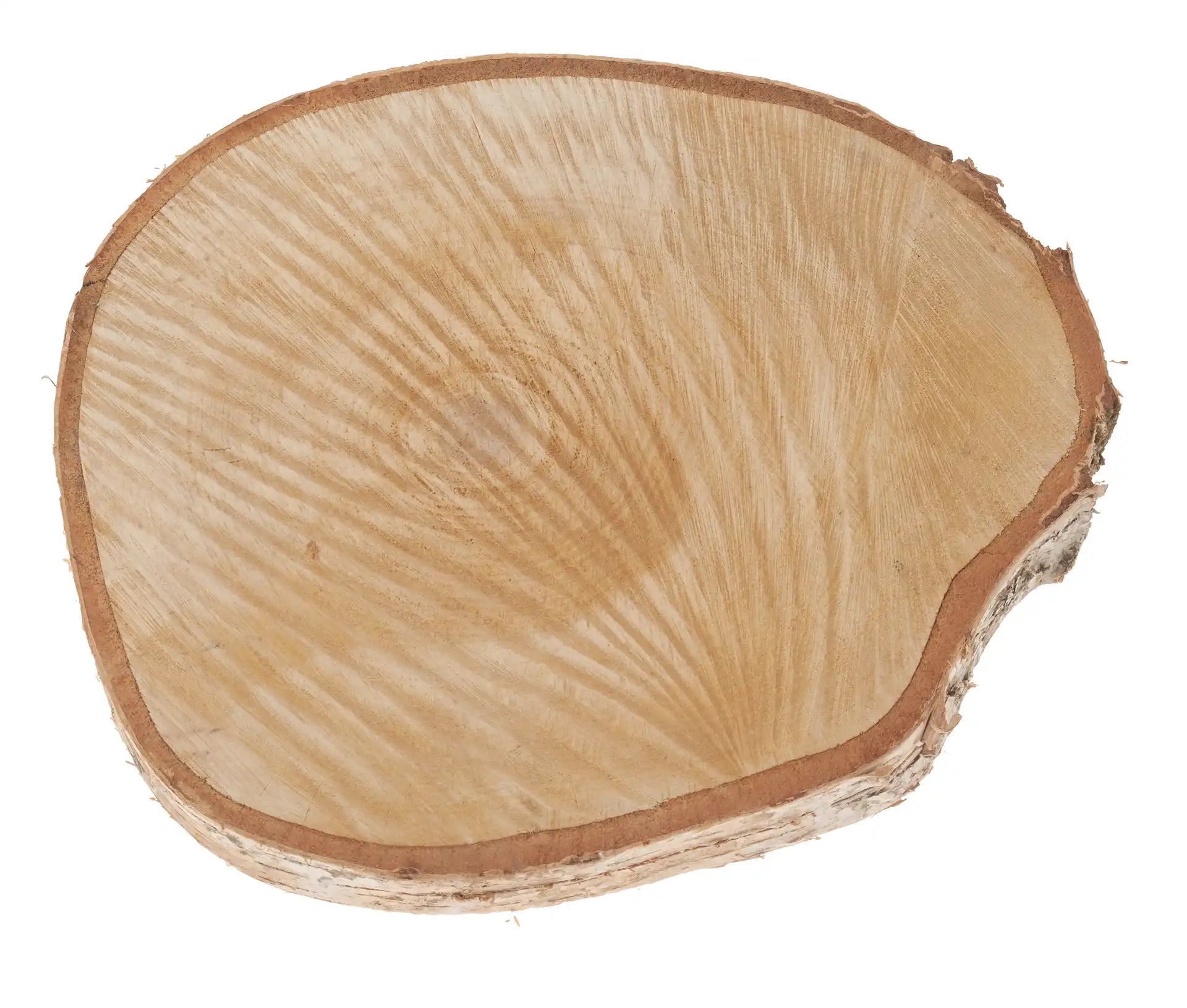 Opiflor Holzrohling, Birke, Natur, Ø 40 cm × 4 cm, 1 Stk.