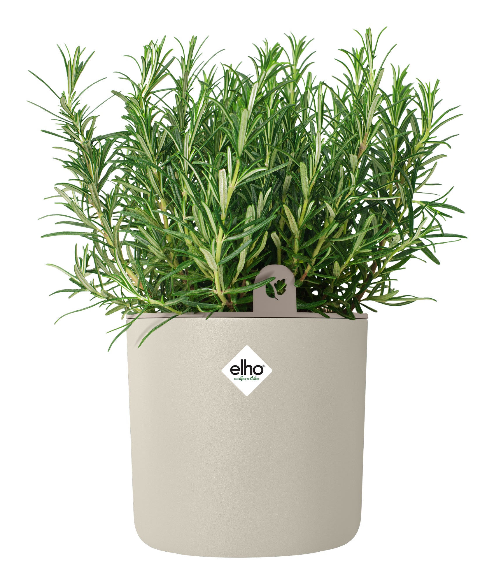 Elho Happy Herbs Pflanztopf – Ø 15 × 17 cm – Recycling-Kunststoff, Weiss