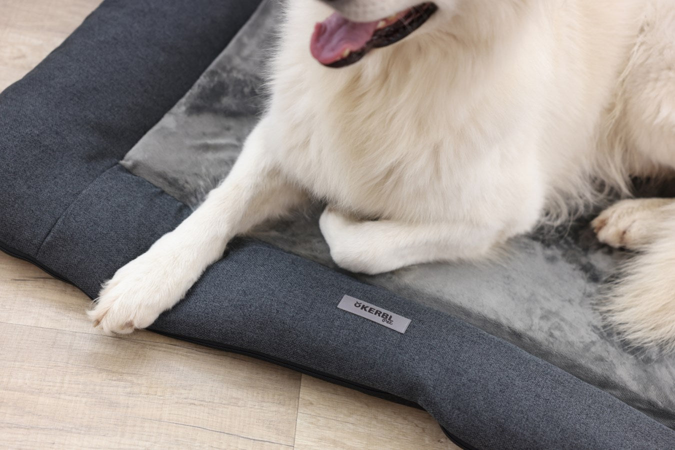 Kerbl Platin Ortho Hundekissen – 55 × 80 × 9 cm, Schaumstoff, Polyester-Bezug, abnehmbar, Anti-Rutsch-Basis