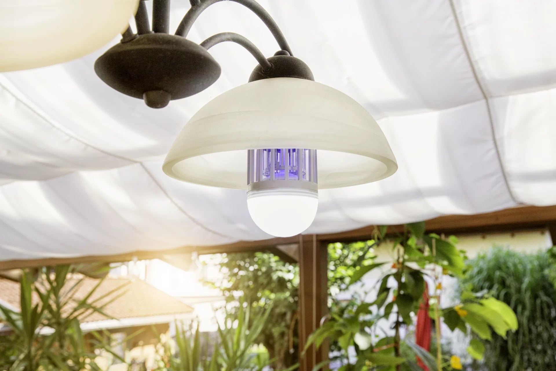 Windhager Insektenfalle – Grau – UV-Lampe, Deckenmontage – Für Fluginsekten