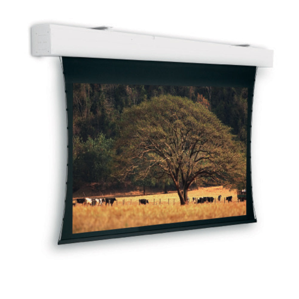 Da-Lite Tensioned Elpro Large Electrol – Elektrische Leinwand, 16:9, 283 × 450 cm (198,8")