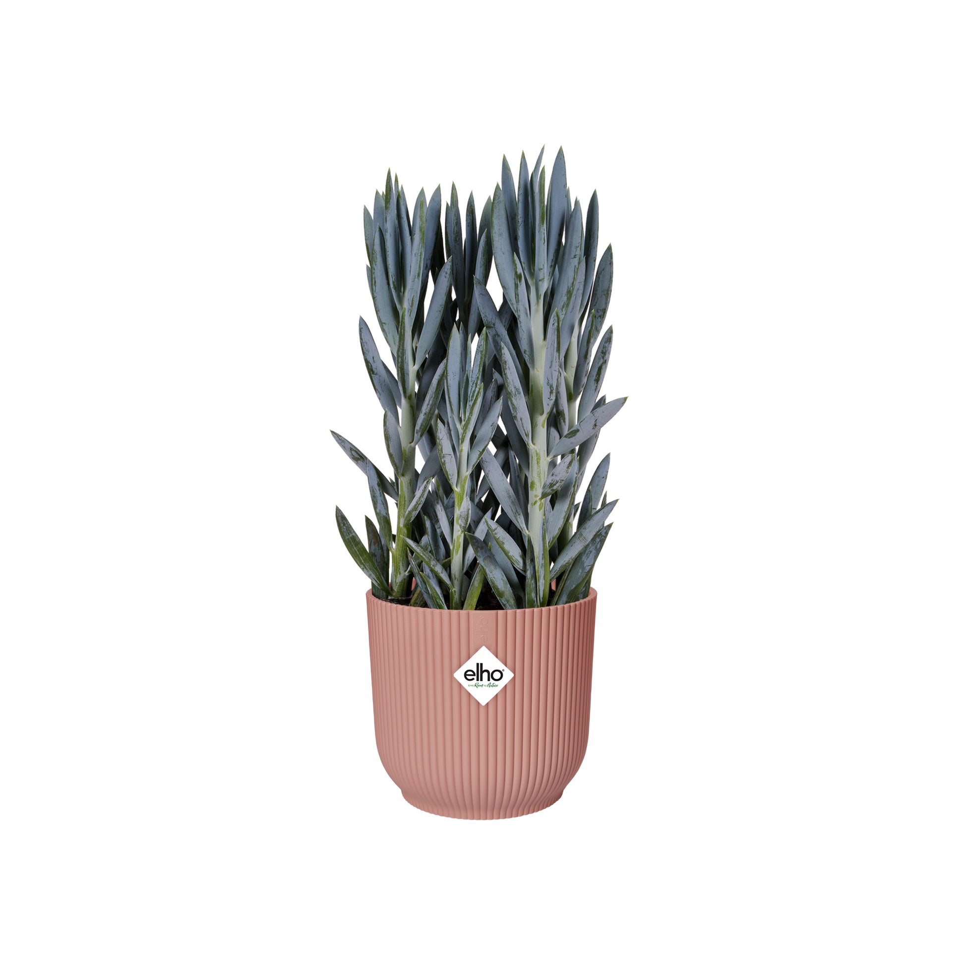 elho Schale – Kunststoff, rosa – Ø 30 × 27 cm