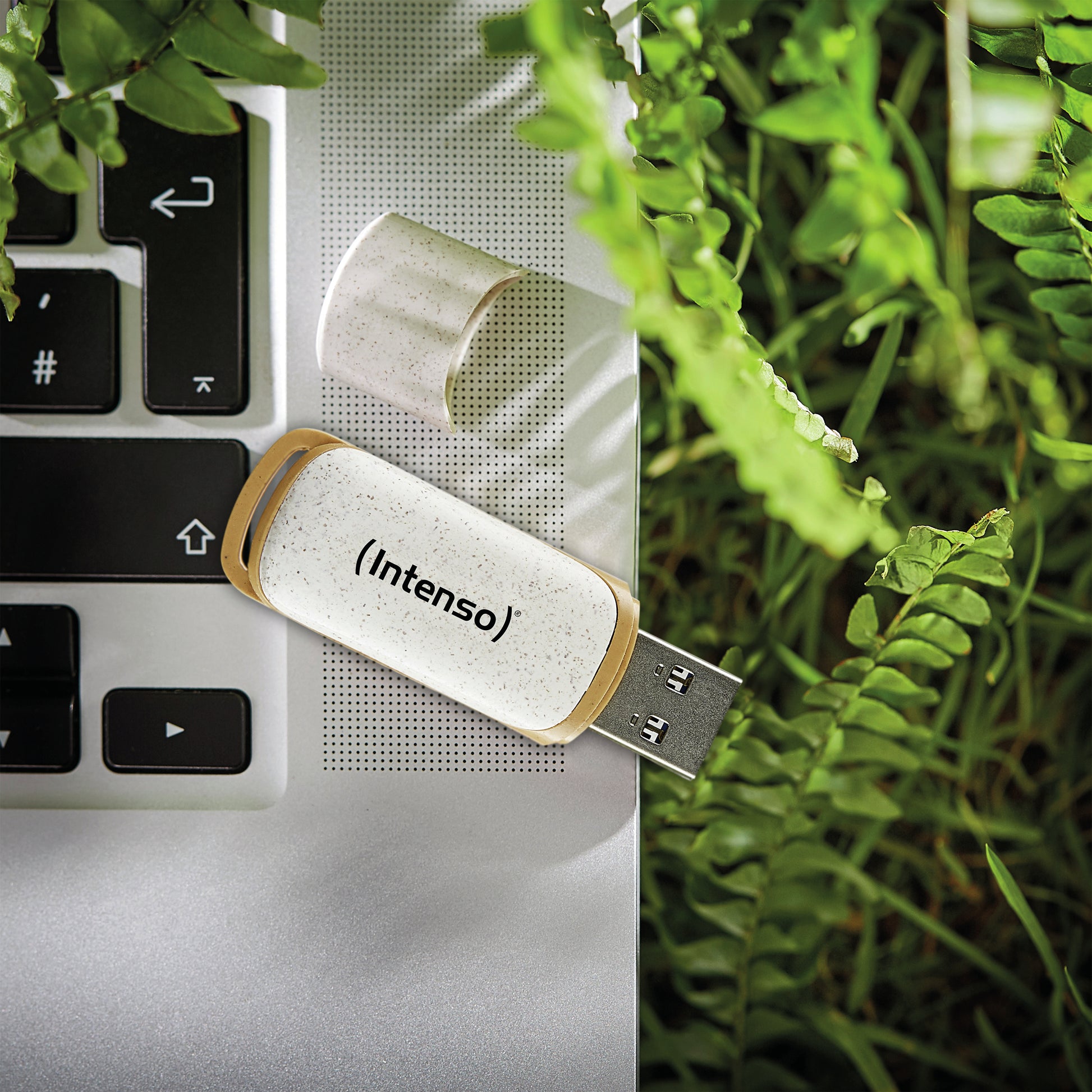 Intenso Green Line 3540480 USB-Stick 32 GB – USB-A USB 3.2 Gen 1, 70 MB/s Lesen, mit Kappe, Beige