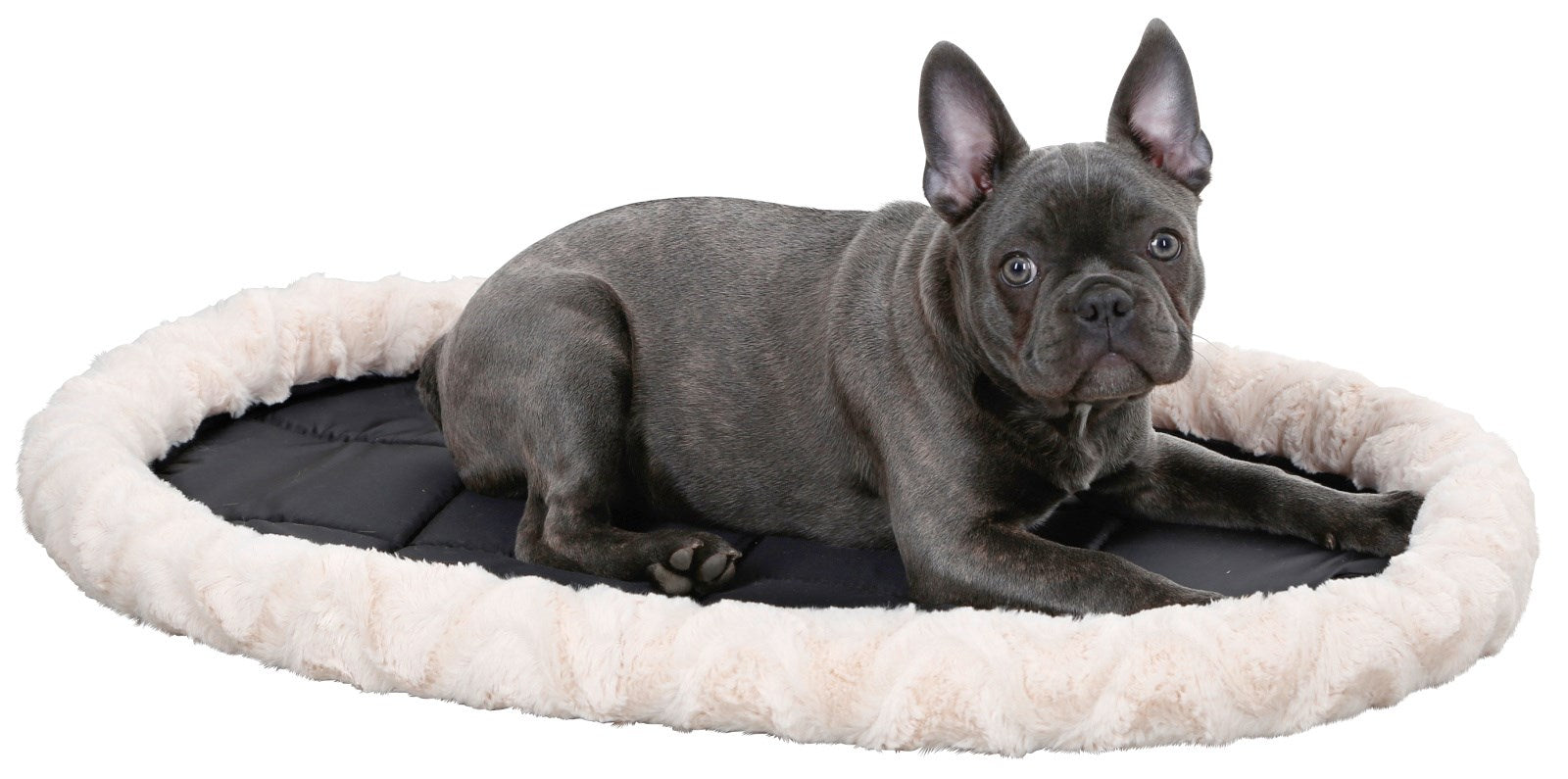 Kerbl Kissen (Tierbett) – 54 × 45 cm, Plüsch/Polyester, Beige