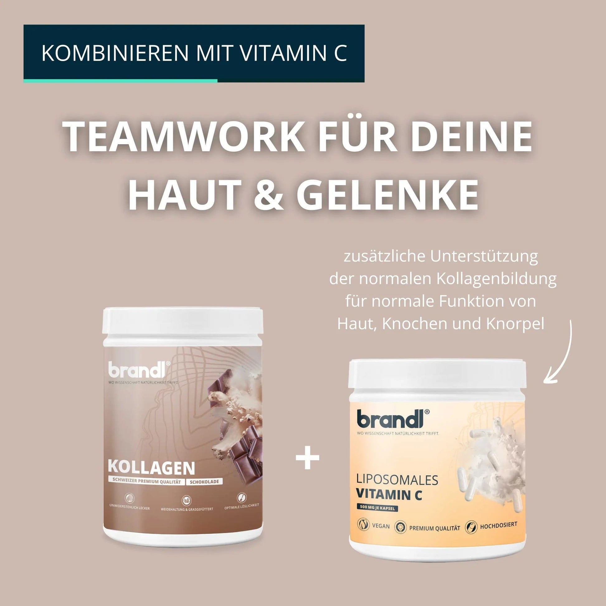 Brandl Nutrition Kollagen Pulver Schokolade – glutenfrei, laktosefrei