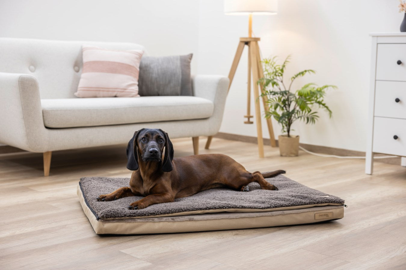 Kerbl Multifunktionsmatratze Hundebett – 72 × 50 × 5 cm, Baumwollvlies/Polyester, Beige/Braun, 1 Stk.
