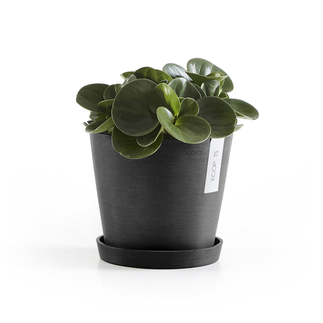 Ecopots Unterteller – Recycling-Kunststoff, Dunkelgrau – Ø 17,5 × 2,5 cm