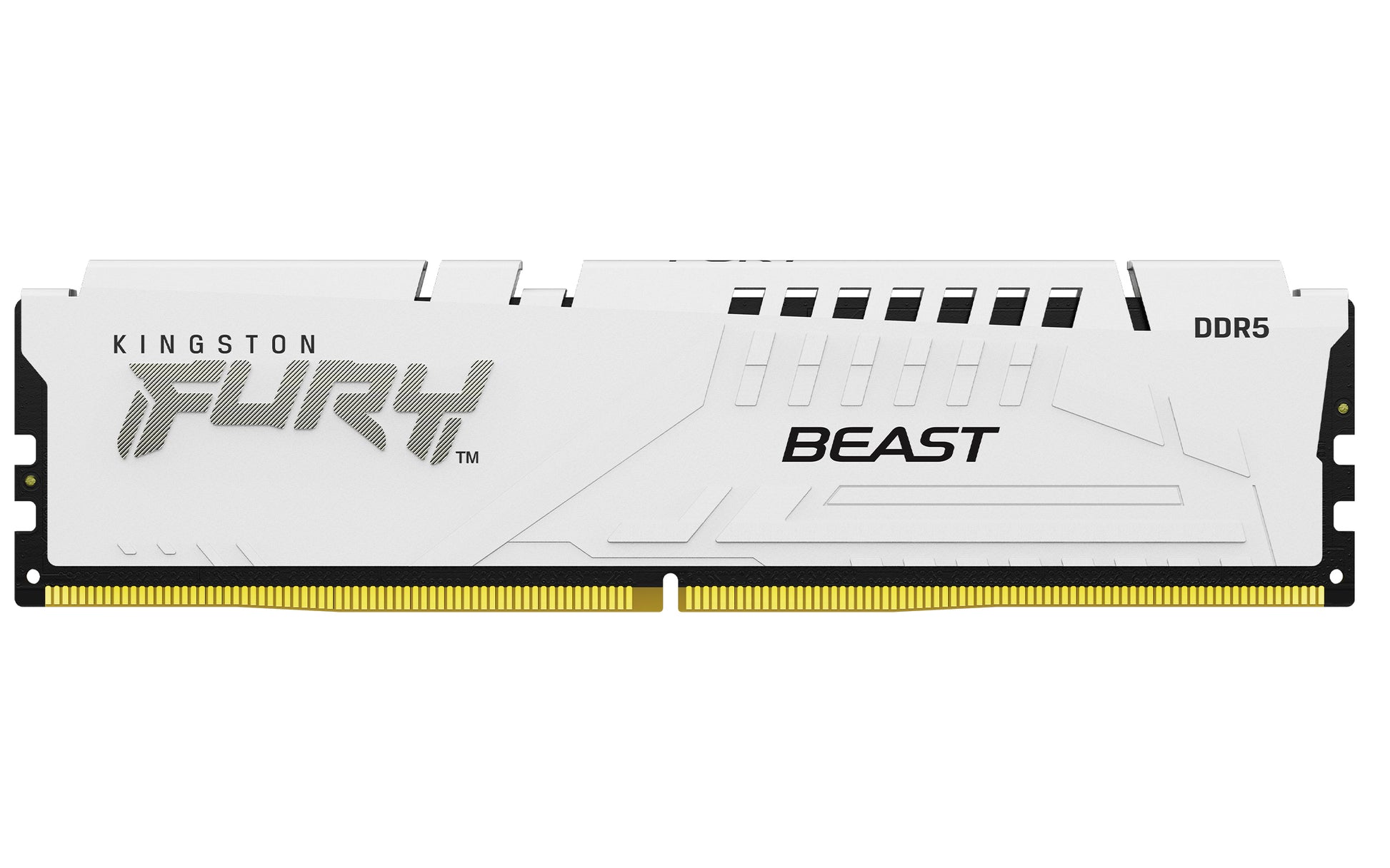 Kingston Technology Kingston FURY Beast – Arbeitsspeicher – 64 GB (2×32 GB) DDR5 5600 MT/s CL36, 288-poliger DIMM, EXPO