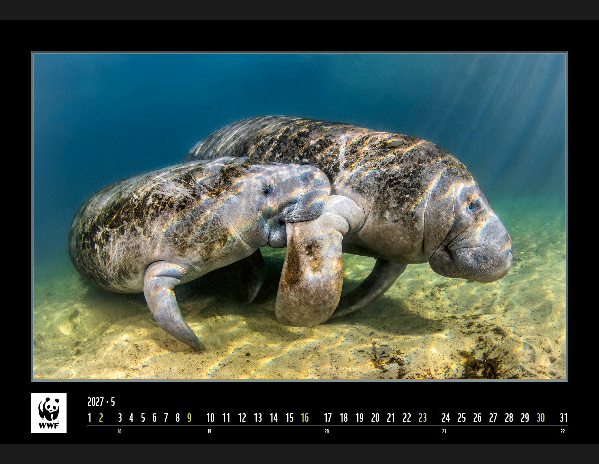 Calendaria WWF Wildlife – Bildkalender 2027 – 48 × 34 cm