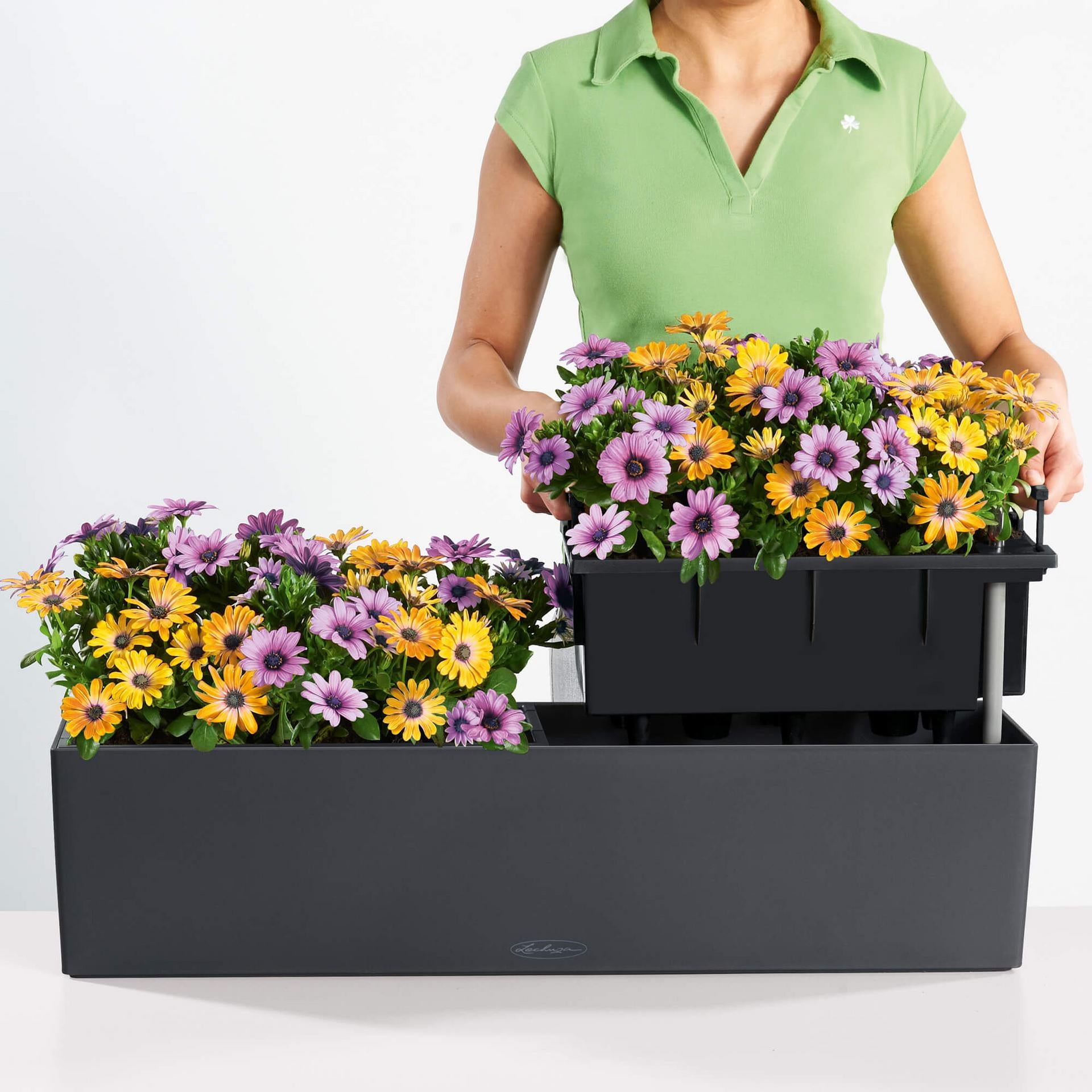 LECHUZA BALCONERA Color Balkonkasten – 79 × 19 × 19 cm, 12 l – Kunststoff, sandbraun