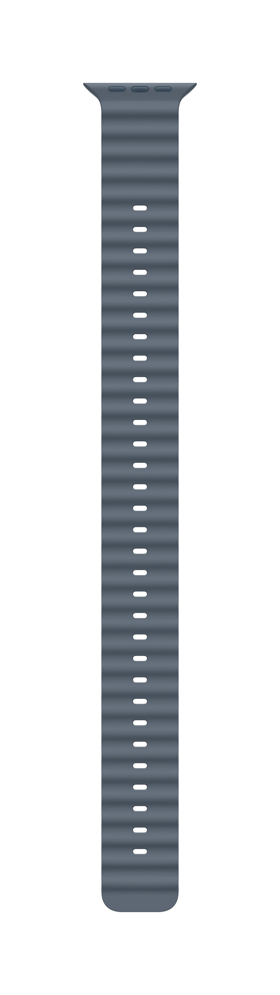 Apple Titan Natur, Ocean Band, Anchor Blue, für Apple Watch