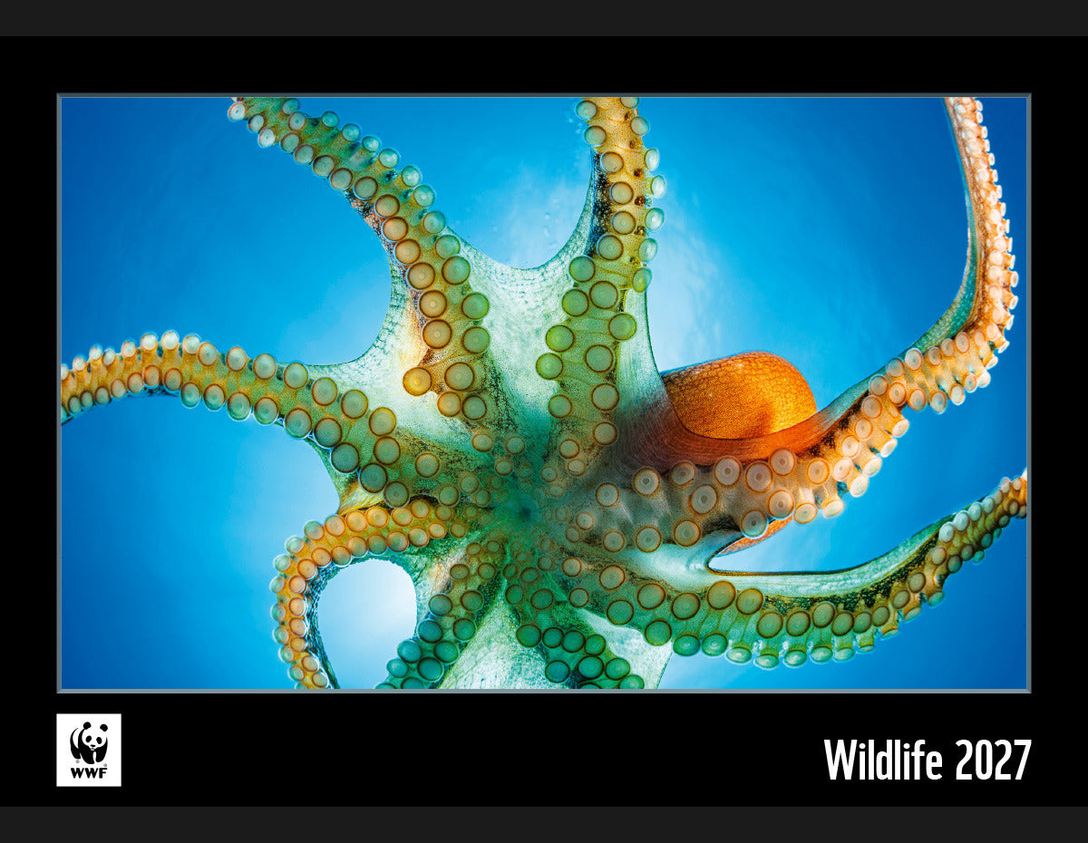 Calendaria WWF Wildlife – Bildkalender 2027 – 48 × 34 cm