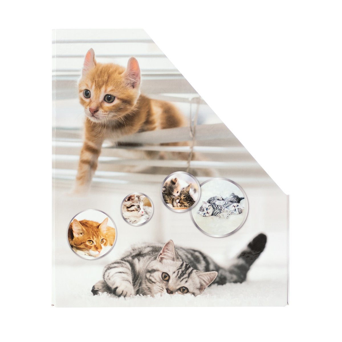HERMA Stehsammler Katzen – A4 – Karton – Gelb – mit Griffloch – 85 × 275 × 315 mm