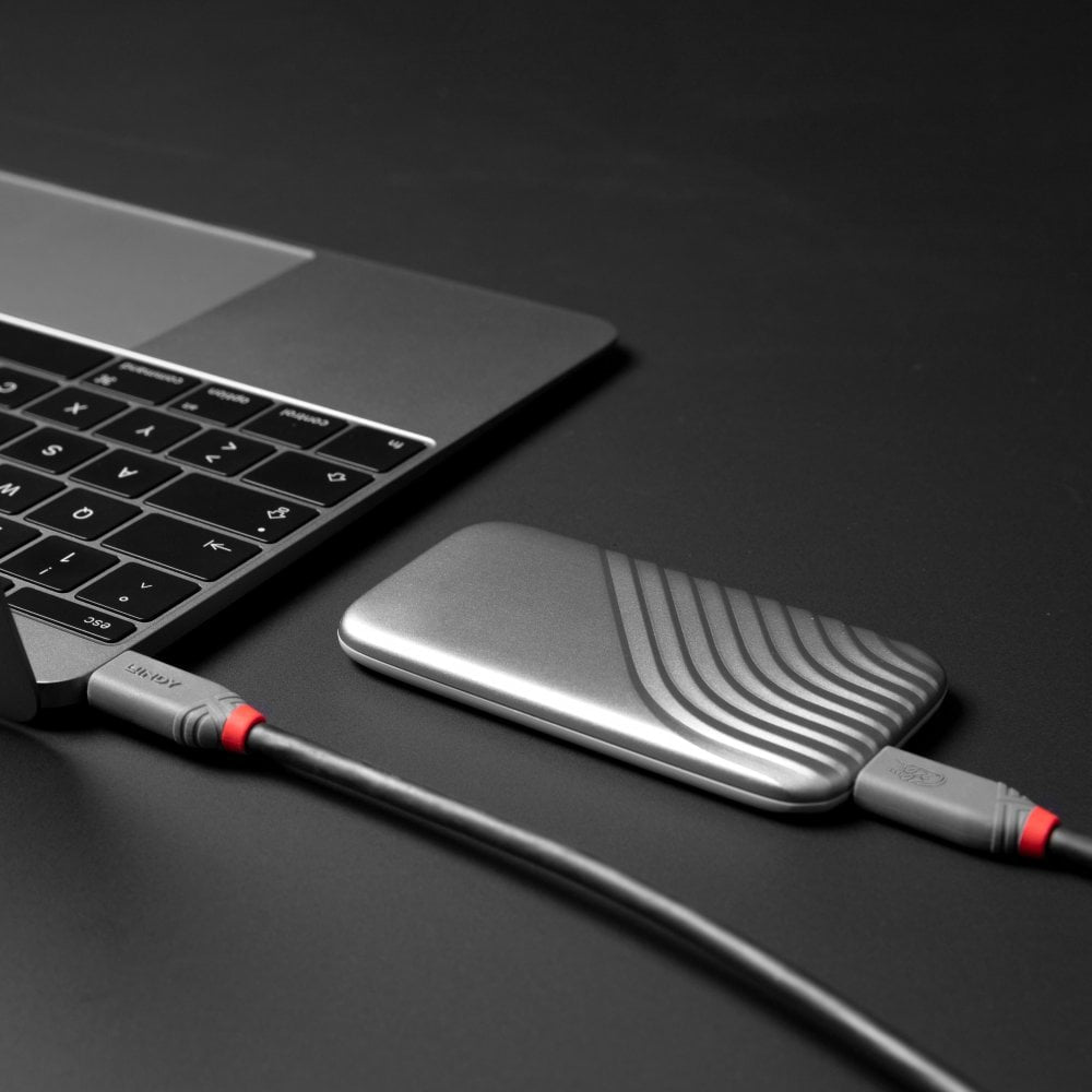 Lindy USB-Kabel, USB-C, 2 m, USB4