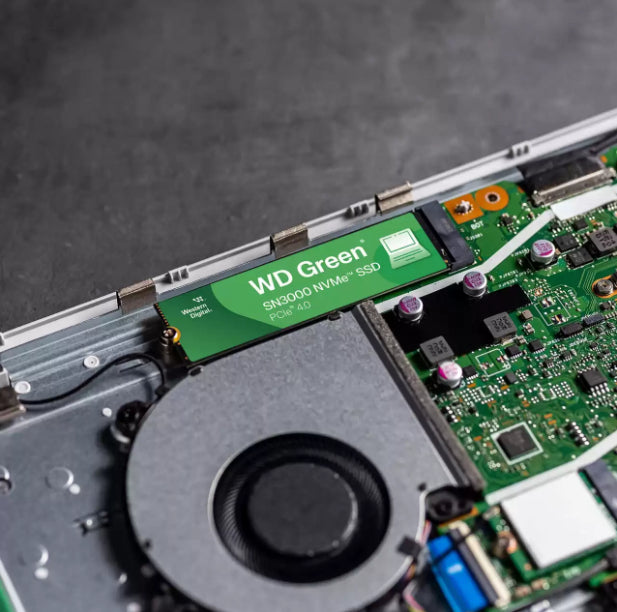 Western Digital Green SN3000 WDS500G4G0E-00CPS0 – für M.2 2280, PCIe 4.0 NVMe