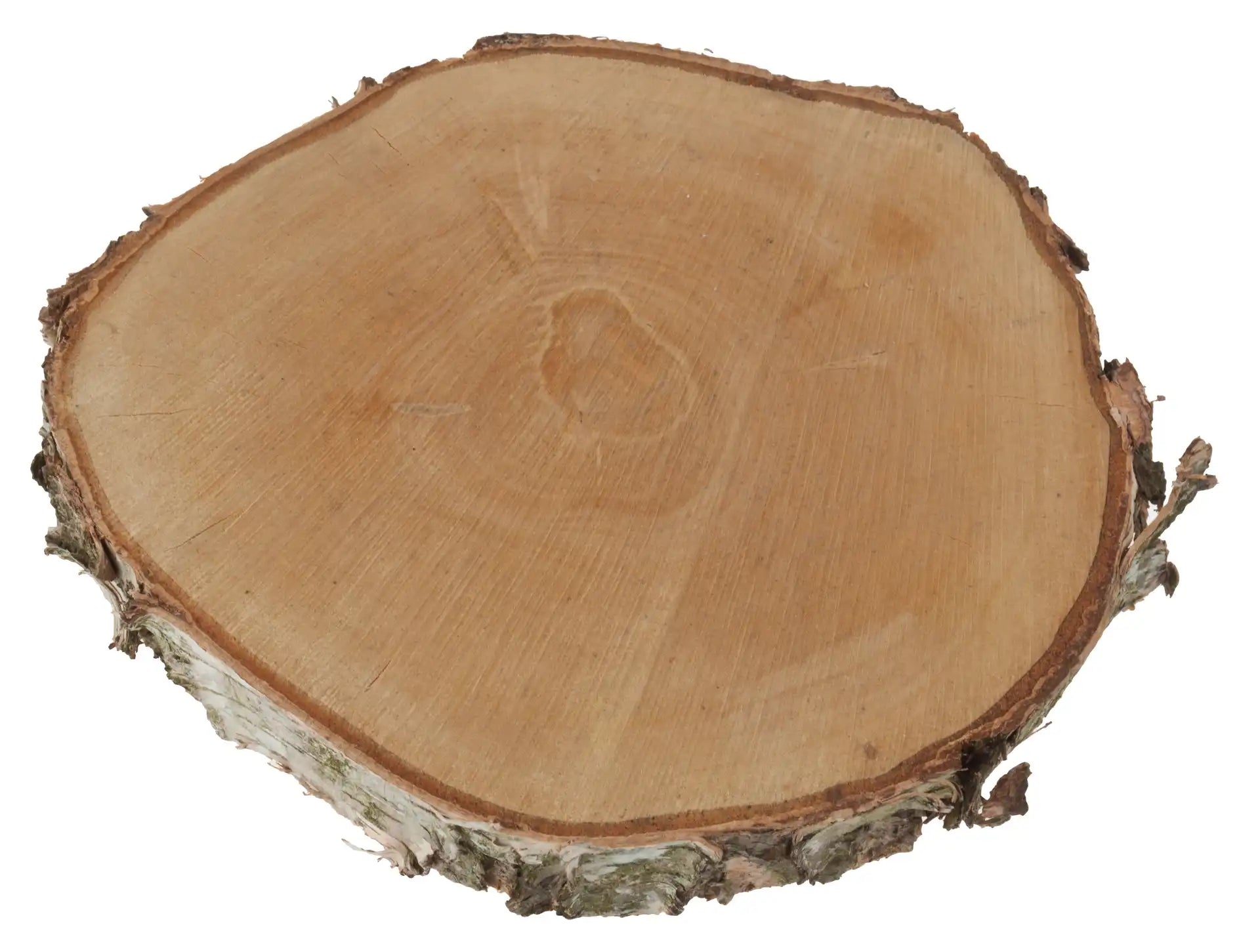 Opiflor Holzrohling, Birke, Natur, Ø 30 cm × 3,5 cm, 1 Stk., rund