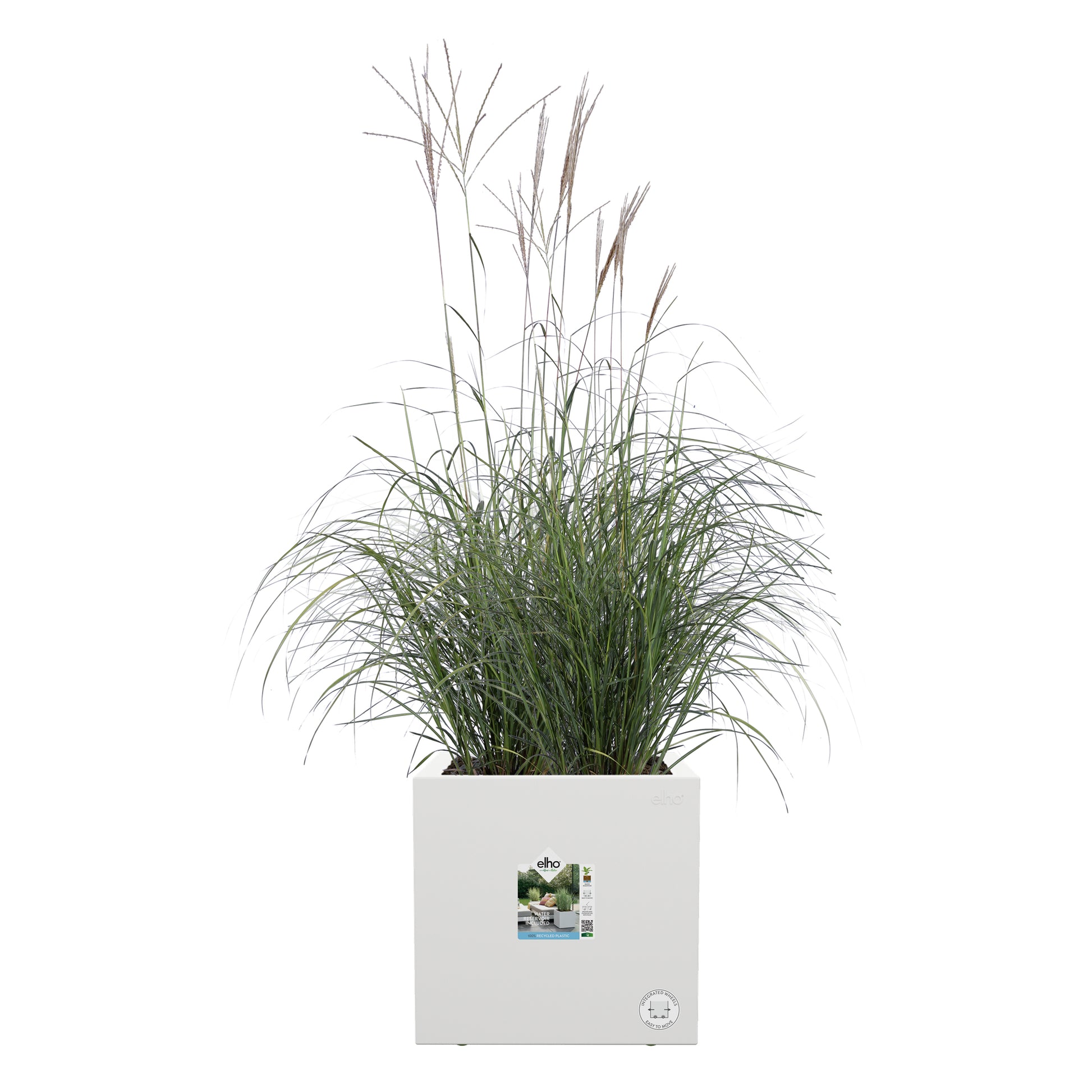 elho Vivo Next Quadrat 30 Pflanztopf – 30 × 29 × 30 cm – Kunststoff, weiss