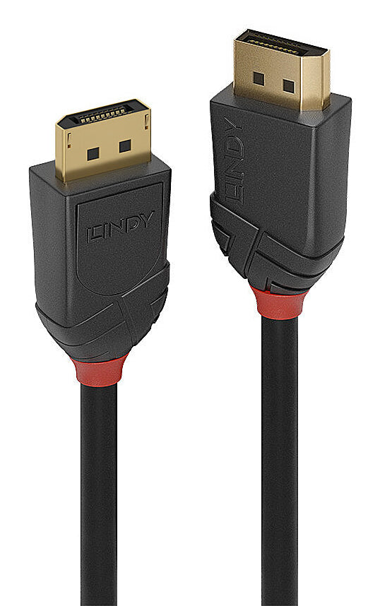 Lindy DisplayPort Kabel DP 2.1 8K 60 Hz – 3 m
