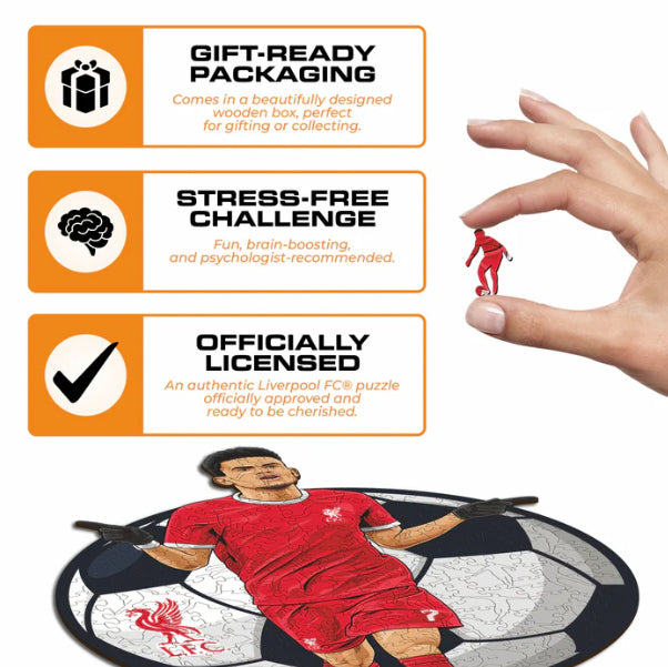 Iconic Puzzles Liverpool FC Luis Diaz – Logikspiel, 1 Spieler, ab 10 Jahren, mehrsprachig