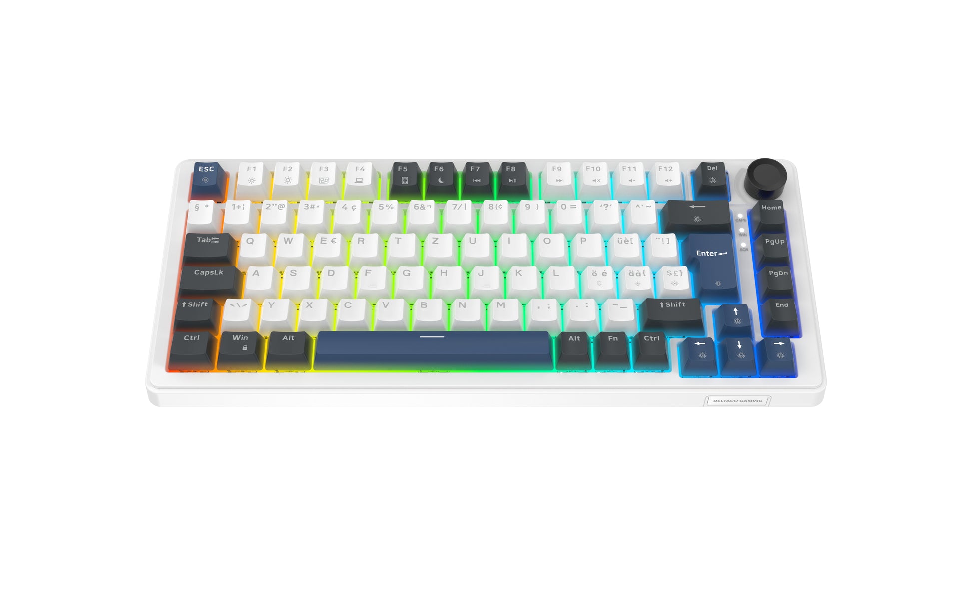 Deltaco Gaming DK480 GAM-205 – Gaming-Tastatur 75% – Mechanisch – Verkabelt (USB-C) – QWERTZ (CH) – RGB