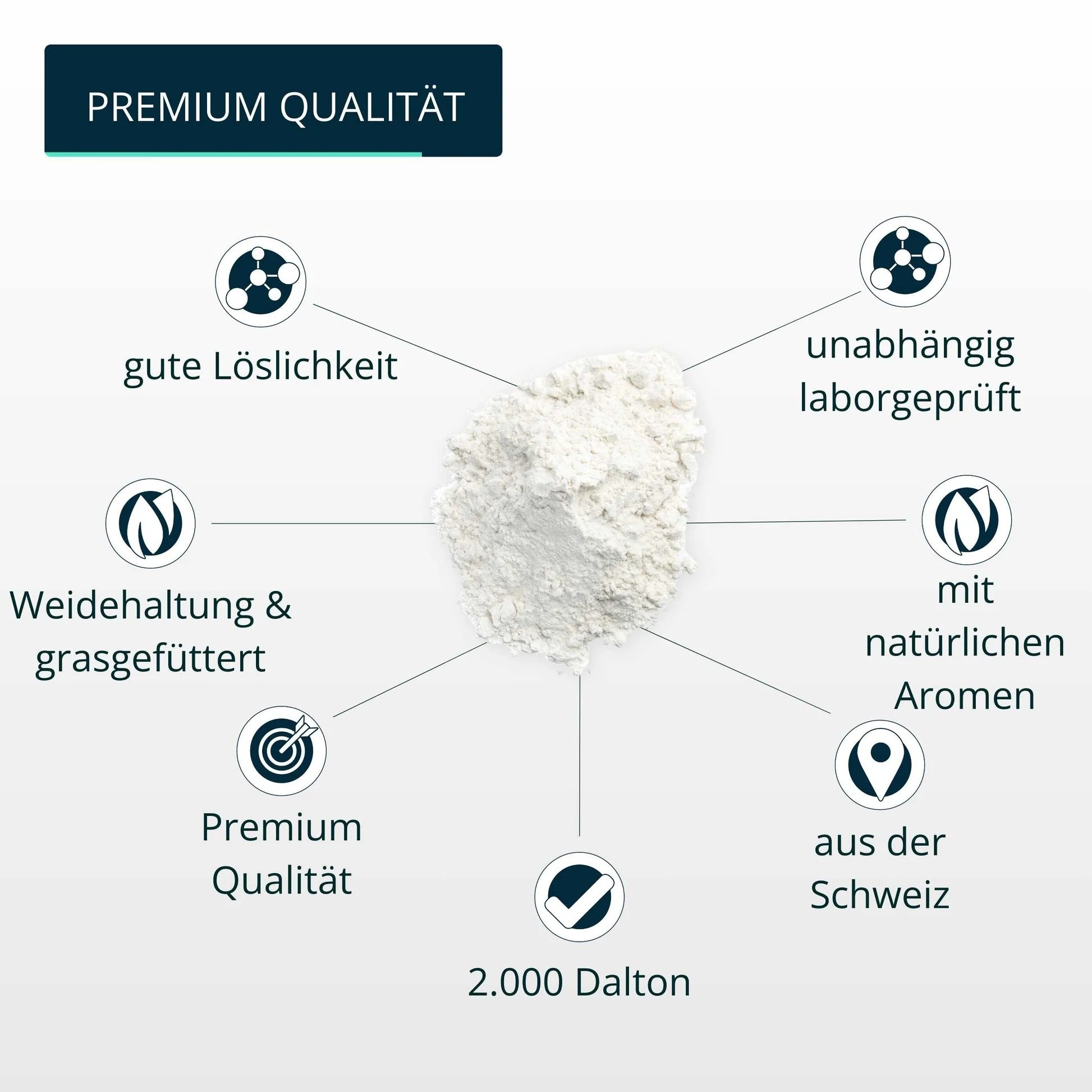 Brandl Nutrition Kollagen Pulver Schokolade – glutenfrei, laktosefrei