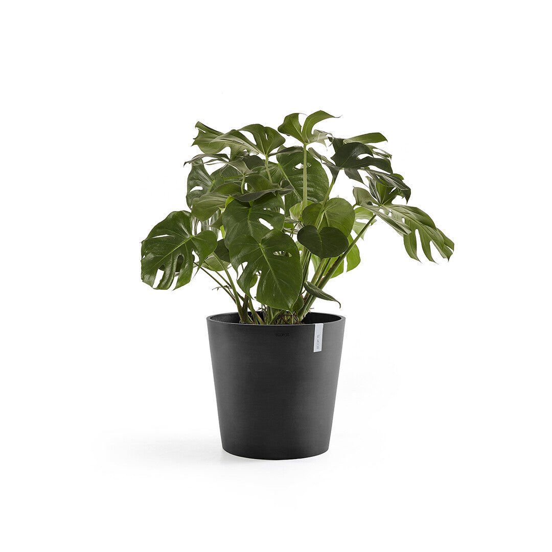Ecopots Amsterdam Pflanzgefäss – Ø 50 × 43,8 cm – Kunststoff, dunkelgrau