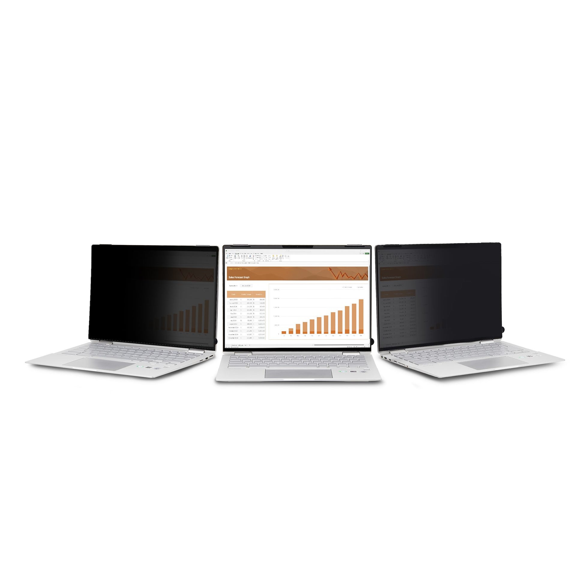 StarTech.com Displayschutz für 13,5" Laptop