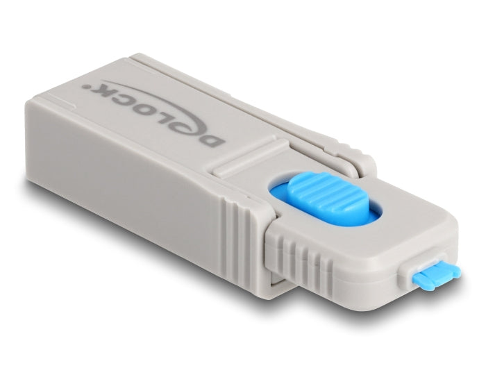 DeLOCK Portblocker – 5er-Set – Blau/Grau – mit Schlüssel – für Micro-USB