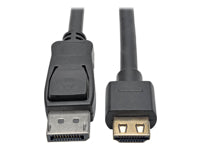 Tripp Lite P582-015-HD-V2A DisplayPort-zu-HDMI-Kabel – 4K (3840 × 2160) @ 60 Hz, DisplayPort 1.2, 4,6 m