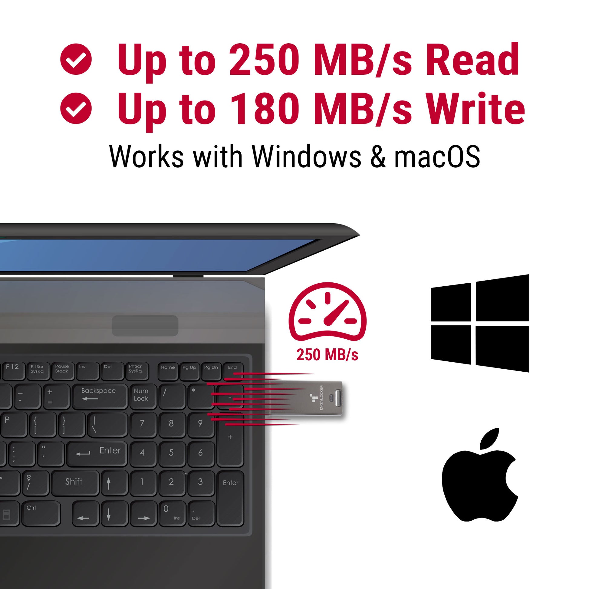 DataLocker DL GO – 64 GB USB-Stick USB 3.2 Gen 2, FIPS 197, für Windows, Mac OS, eingeschränkt Linux