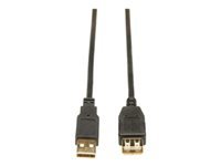 Tripp Lite USB-A Verlängerungskabel (Stecker auf Buchse) – USB 2.0 (480 Mbit/s) – 1,83 m – Schwarz