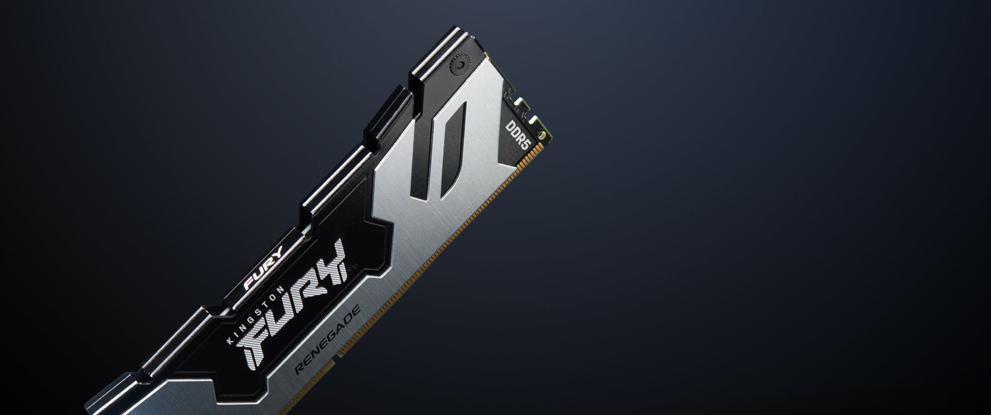 Kingston Technology Kingston Renegade Silver – 64 GB (2×32 GB) DDR5-6400 CL32, 288-Pin DIMM, XMP 3.0