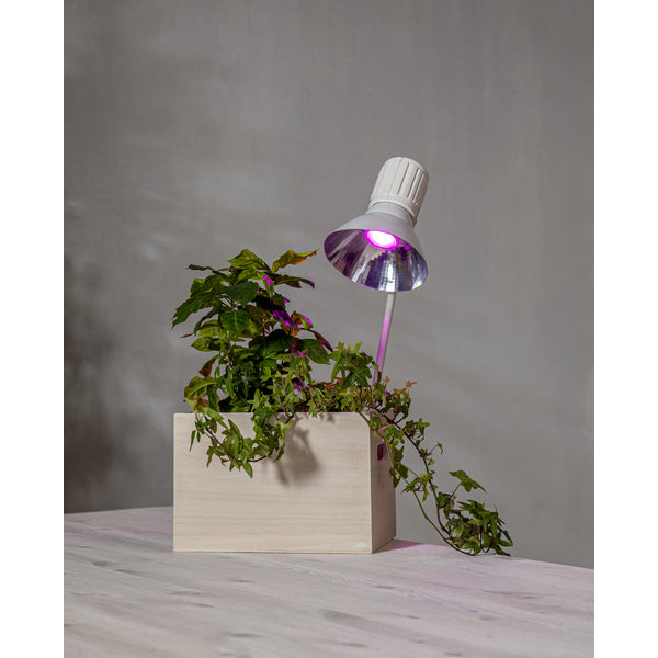 Star Trading Leuchtmittel G9 Kapsel – 138 lm, 1,5 W, Warmweiss 2700 K – IP20 – 2 Stk. – 357-38
