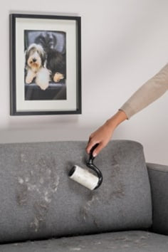 Scotch-Brite Fusselroller Pet Extra Sticky – 48 Blätter – Schwarz – Kunststoff – 14,0 × 6,0 × 20,5 cm