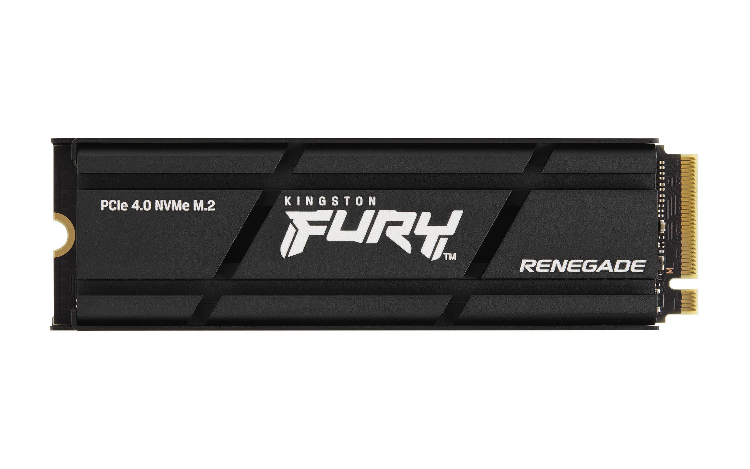 Kingston Technology Kingston FURY Renegade 2 TB – M.2 SSD, NVMe PCIe 4.0