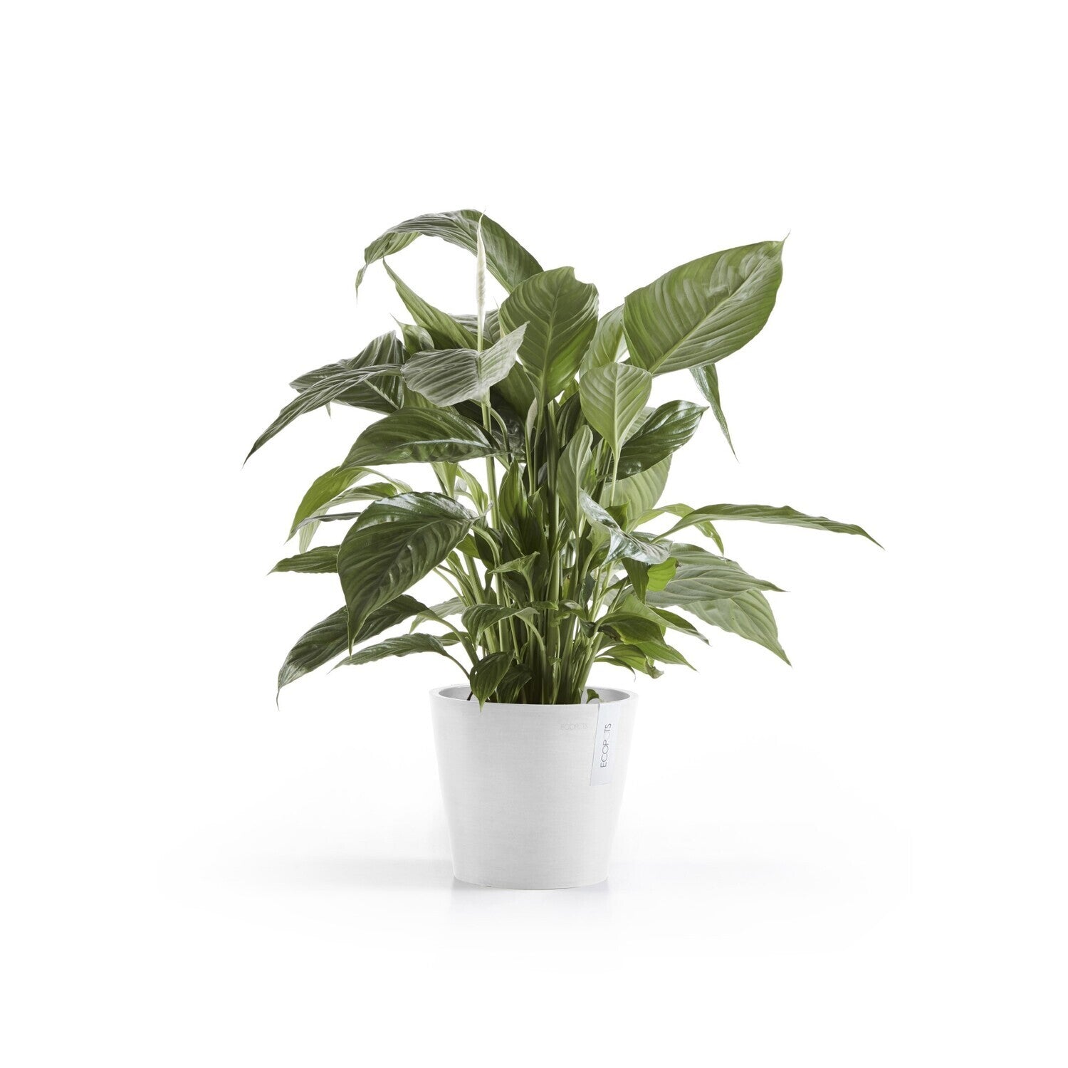Ecopots Pflanzentopf – Ø 20 × 17,5 cm – Recycling-Kunststoff, Weiss