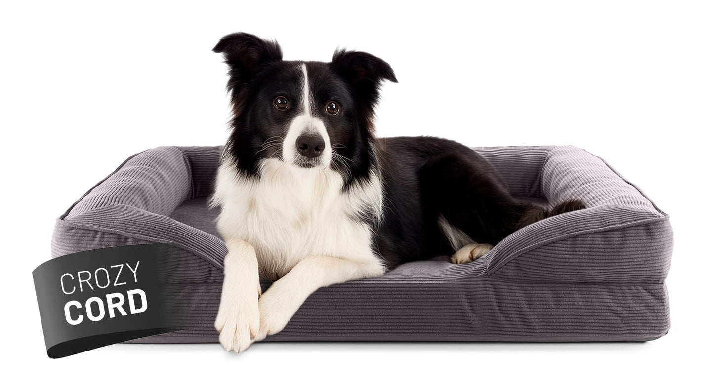 Lumaland Hundebett – 65 × 90 × 18 cm, Polyester, abwaschbarer Bezug, Anti-Rutsch-Basis, grau
