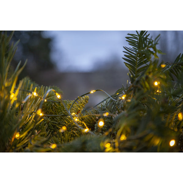 Star Trading Lichterkette – 7,7 m – 0,4 W – Warmweiss – IP44 – Batteriebetrieb – Timer 6/18 h, Grün, PVC