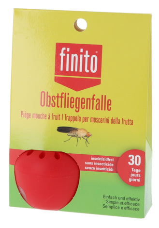 finito Insektenfalle Obstfliegenfalle – 10 × 14 cm – Rot – für Obstfliegen