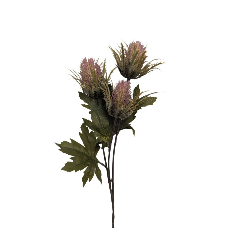 CHALET Trockenblumen Distel – rosa – 54 cm