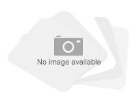 Microsoft Surface Alpha Pen-Spitze 80er-Pack – Schwarz