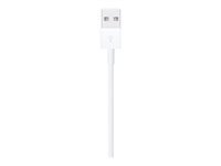 Apple Kabel – Lightning auf USB-A 1 m – für iPhone/iPad